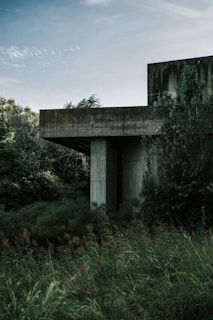 gray concrete house beside trees during daytime